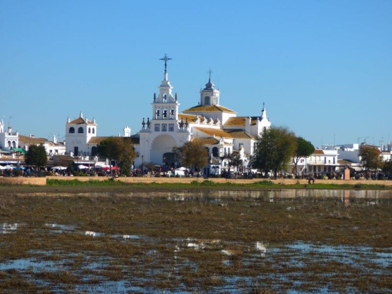donana-national-park-off-road-tour-from-seville