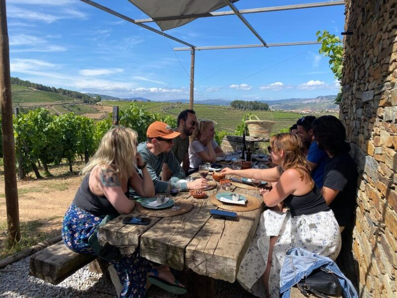 douro-valley-wine-safari-with-wine-tastings-and-lunch