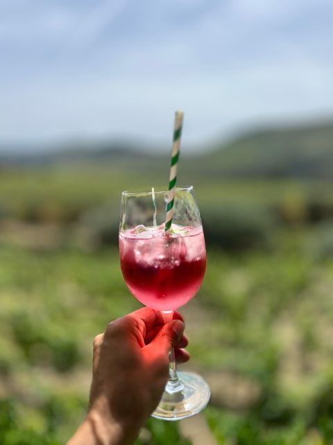 douro-valley-with-a-local-tasting-day-all-included