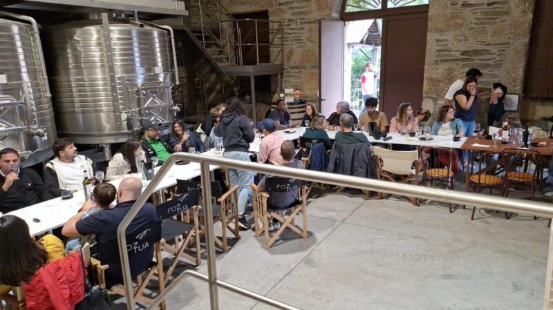 douro-wine-experience-1-day-in-the-douro