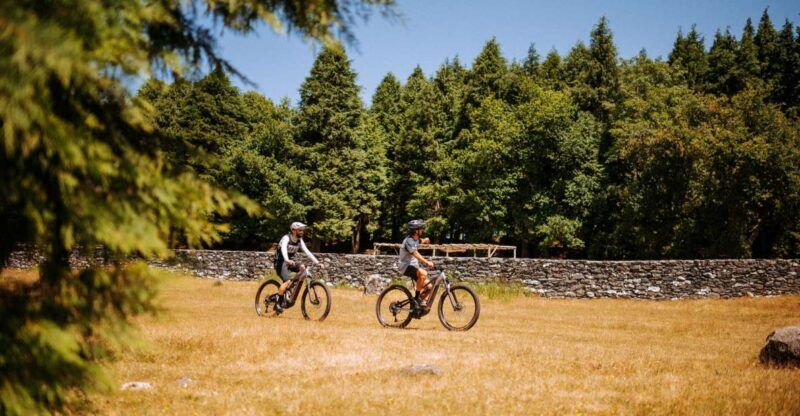 e-bike-guided-tour-north-side-mountain-biking