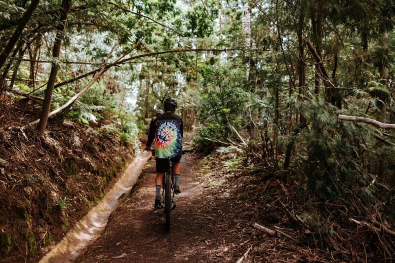 e-bike-guided-tour-west-side-mountain-biking