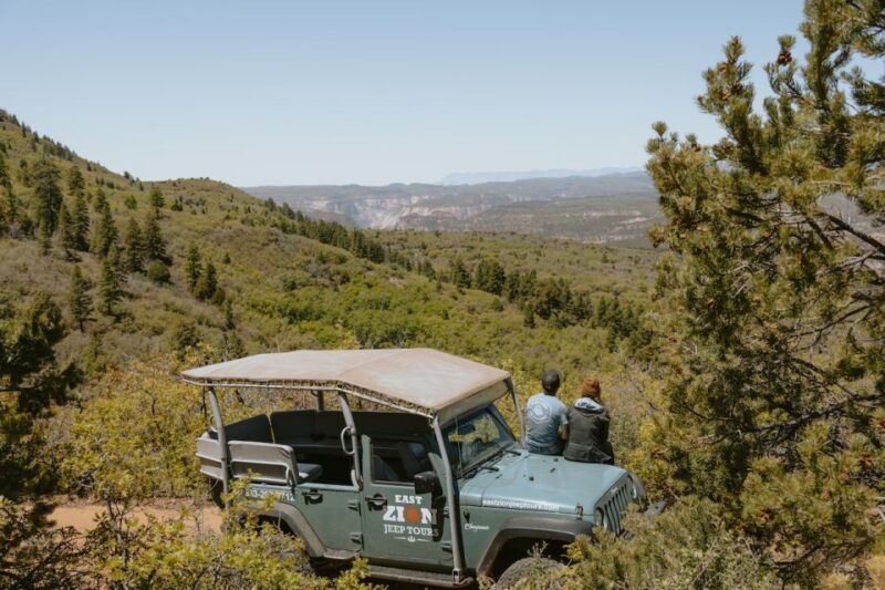 east-zion-brushy-cove-jeep-adventure