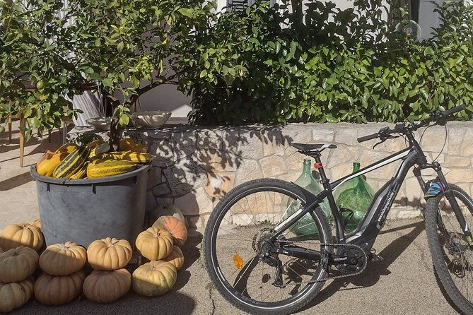 ebike-tour-authentic-itria-valley-and-local-cuisine