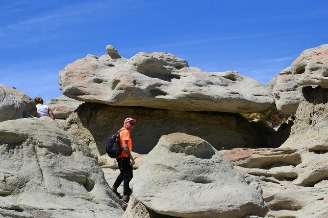 el-calafate-day-trip-to-the-spectacular-petrified-forest-la-leona