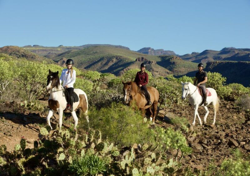 el-salobre-horse-riding-adventure-with-transfer-options