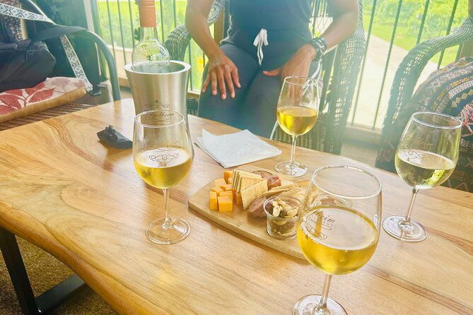 elijay-three-vineyards-private-wine-tasting-tour-from-atlanta