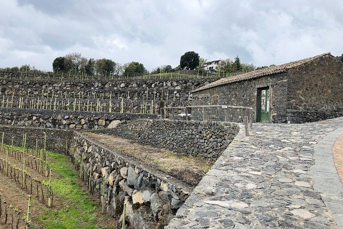 etna-wine-tour-experience