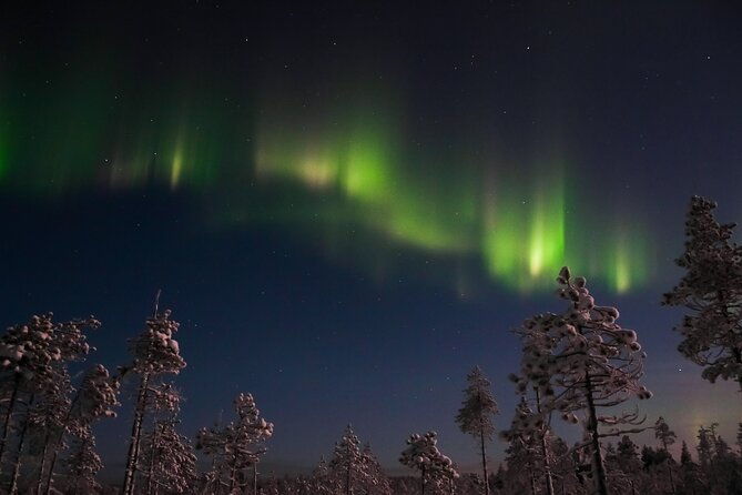 evening-snowmobile-safari-with-campfire-in-saariselka