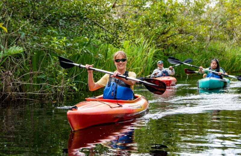 everglades-city-guided-kayaking-tour-of-the-wetlands