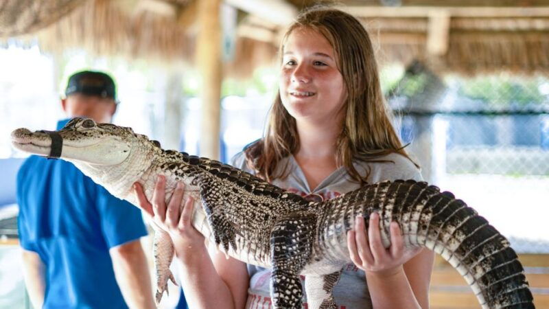 everglades-city-guided-kayaking-tour-with-and-airboat-ride