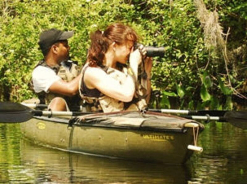 everglades-everglades-alligators-and-orchids-kayak-eco-tour