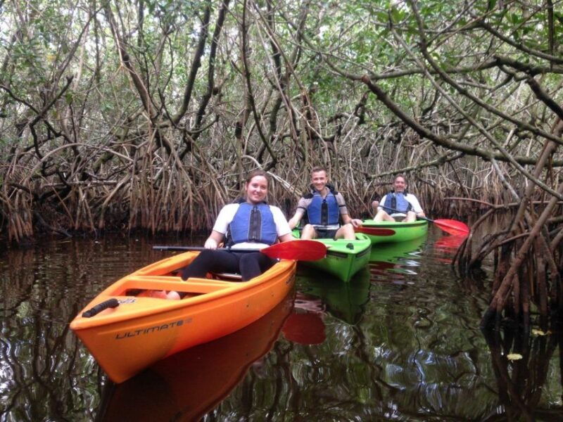 everglades-kayak-safari-adventure-through-mangrove-tunnels