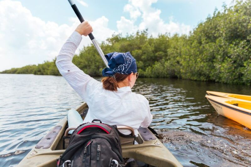 everglades-national-park-mangrove-tunnel-kayak-eco-tour