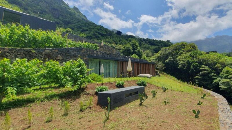 exclusive-wine-tasting-tour-in-the-wine-region-of-boaventura