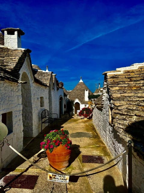 expert-guided-tour-tasting-alberobello