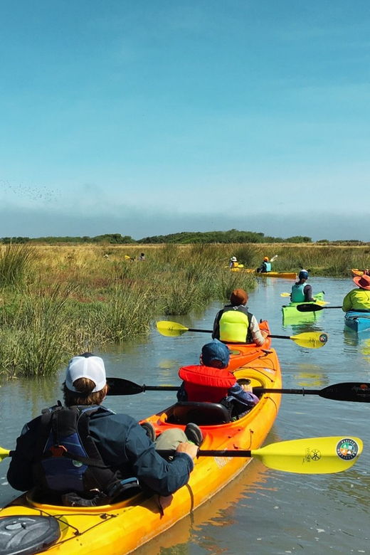 explore-humboldt-bay-by-kayak