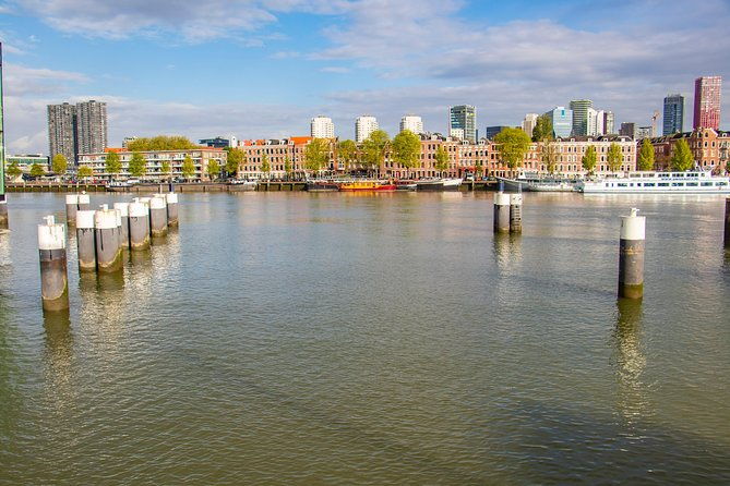 explore-the-instaworthy-spots-of-rotterdam-with-a-local