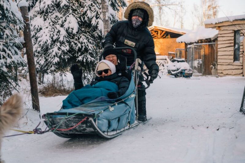 fairbanks-dog-sledding-tour-with-transportation
