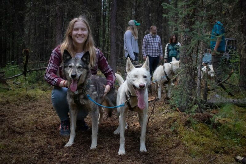 fairbanks-summer-mushing-cart-ride-and-kennel-tour