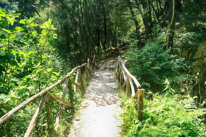 ferrieres-path-a-challenging-trekking