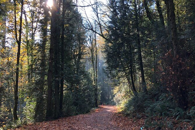 forest-park-carbon-gravel-bike-and-e-bike-tour