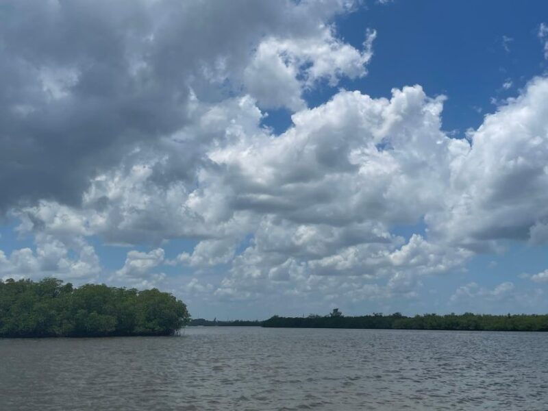 fort-pierce-6-hr-mangroves-coastal-rivers-wildlife-in-fl