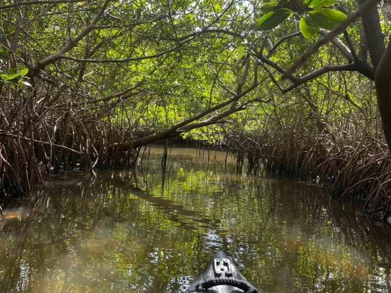 fort-pierce-8-hr-jungle-and-lagoon-passage-to-ocean-in-fl
