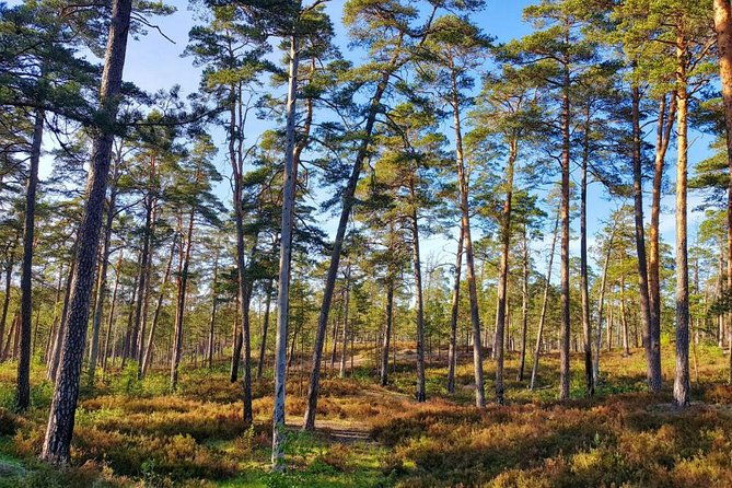 four-natural-ecosystems-in-one-hike