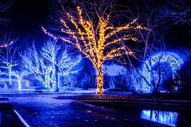 franklins-festive-lights-spectacular-a-christmas-wonderland-tour