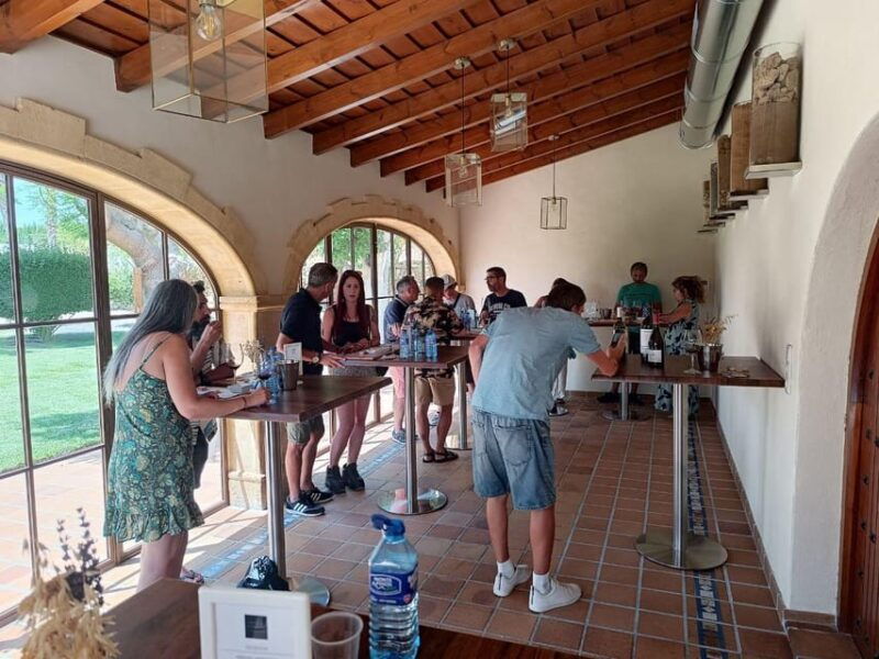 from-alicante-benidorm-winery-tour-and-wine-tasting