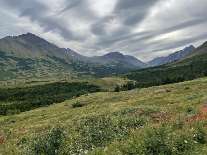 from-anchorage-chugach-state-park-walk-with-naturalist