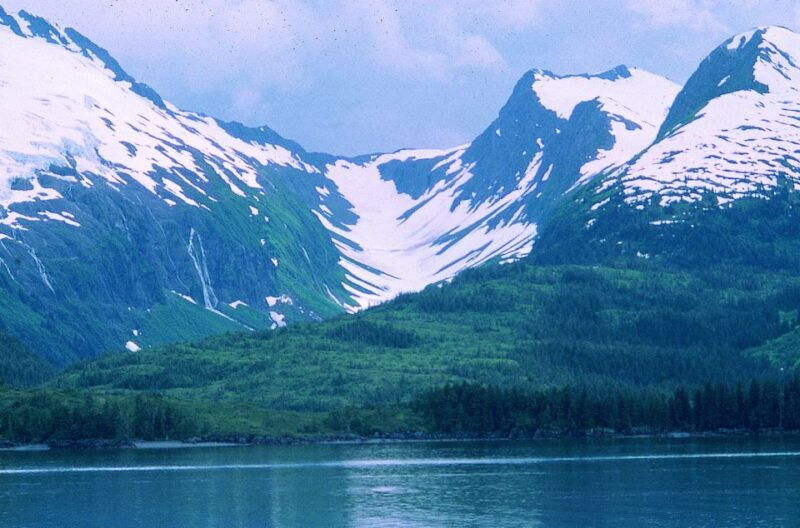 from-anchorage-wilderness-wildlife-glacier-experience