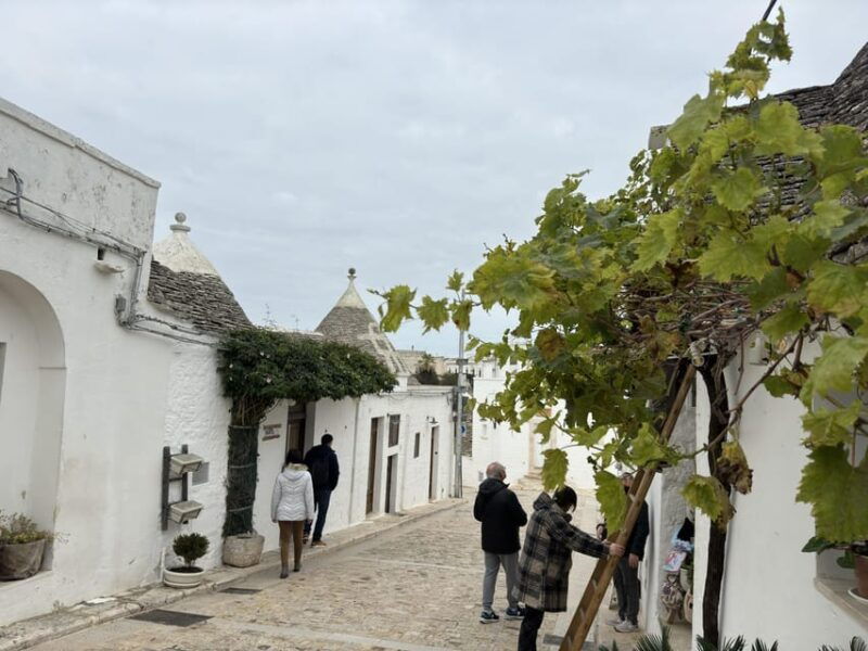 from-bari-alberobello-half-day-trip-with-guided-tour