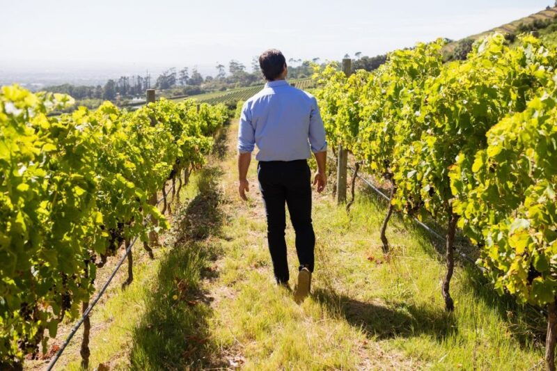 from-bologna-wine-tasting-and-vineyard-tour
