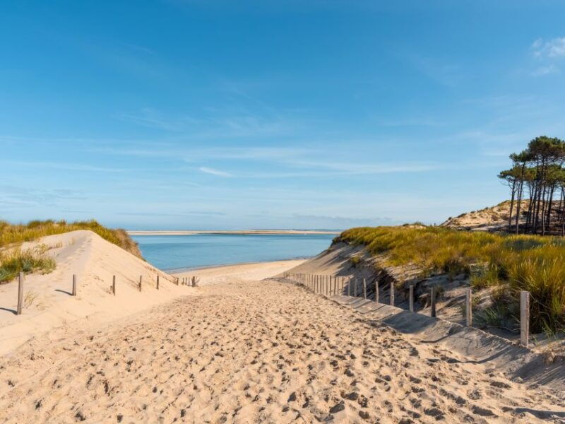 from-bordeaux-arcachon-and-pilat-dune-private-tour