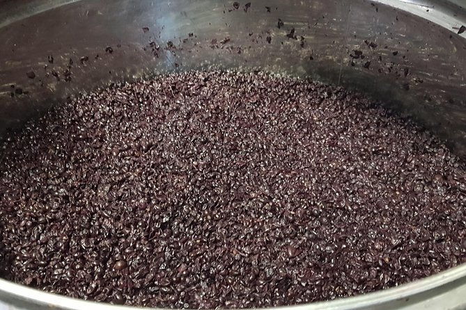 from-civitavecchia-tuscany-latium-wine-tour-with-tastings