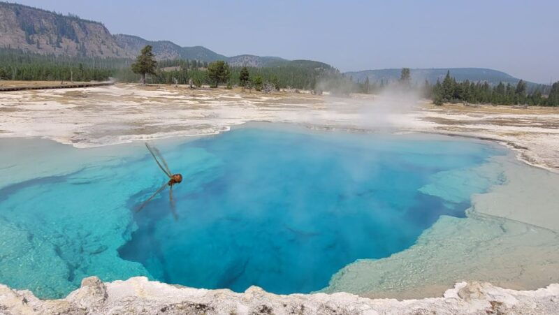 from-cody-full-day-yellowstone-national-park-tour