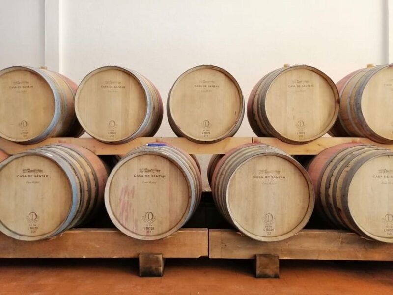from-coimbra-dao-wine-route-experience