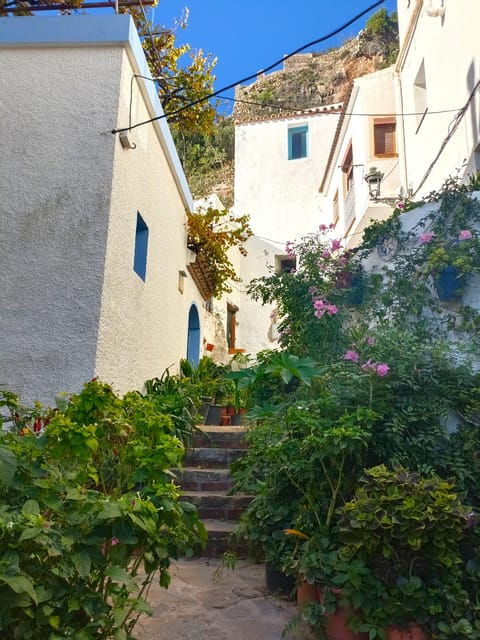 from-costa-del-sol-casares-private-tour