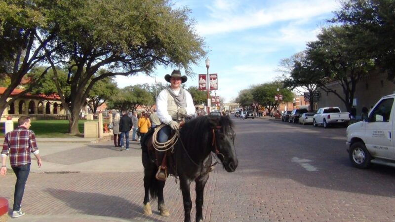 from-dallas-fort-worth-guided-day-tour