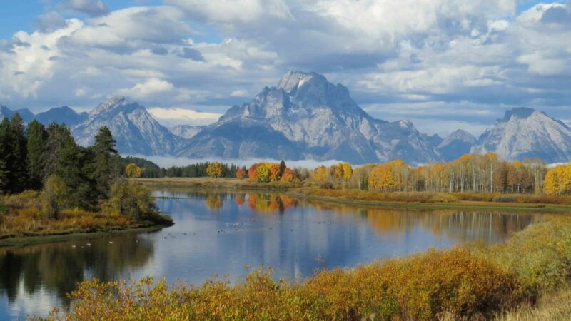 from-jackson-yellowstone-day-tour-including-entrance-fee