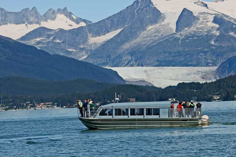 from-juneau-whale-watching-cruise-with-snacks