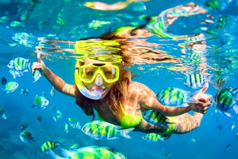 from-maalaea-am-turtle-town-snorkel-aboard-quicksilver
