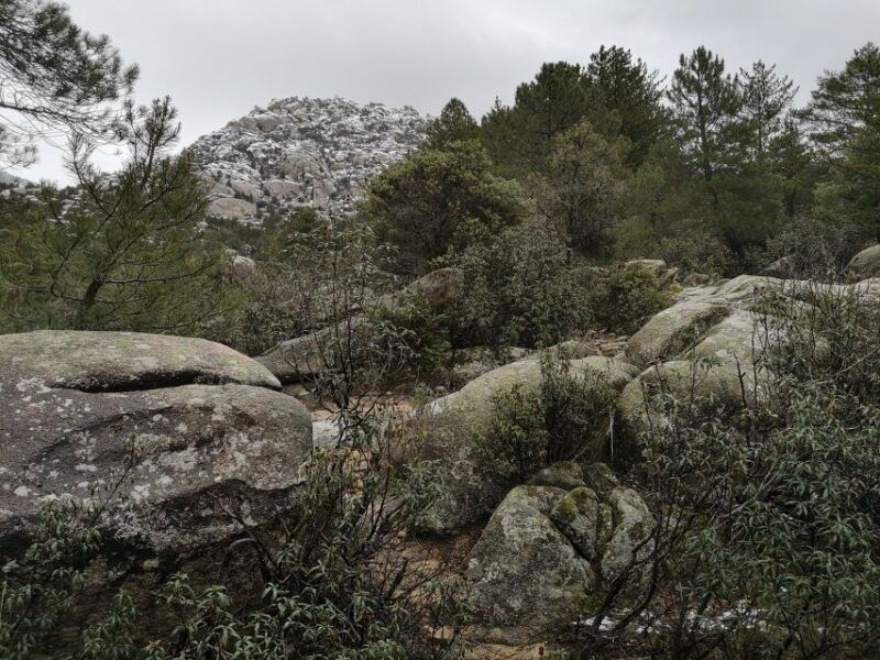 from-madrid-day-trip-to-guadarrama-national-park
