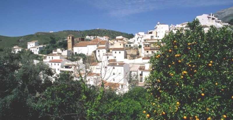 from-marbella-axarquia-wine-tour-with-wine-pairing-lunch