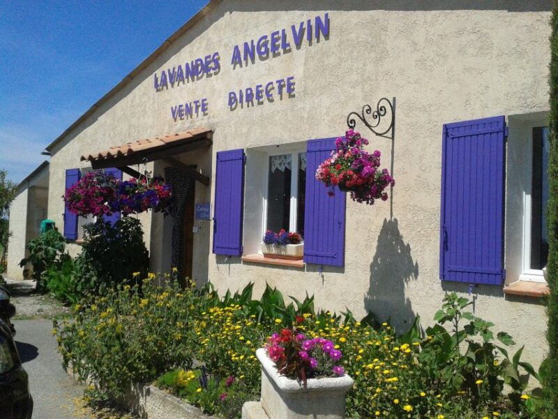 from-marseille-cruise-port-valensole-lavender