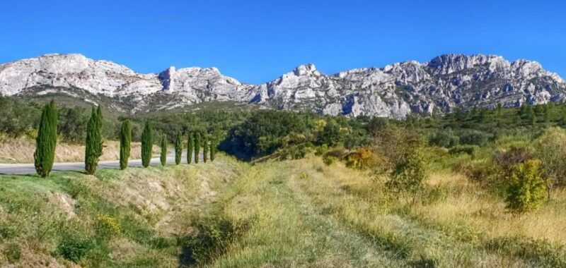 from-marseille-full-day-les-baux-de-provence-wine-tour