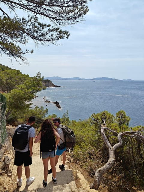 from-marseille-to-the-calanques-blueues-by-train-hike-lagoons-and-villages