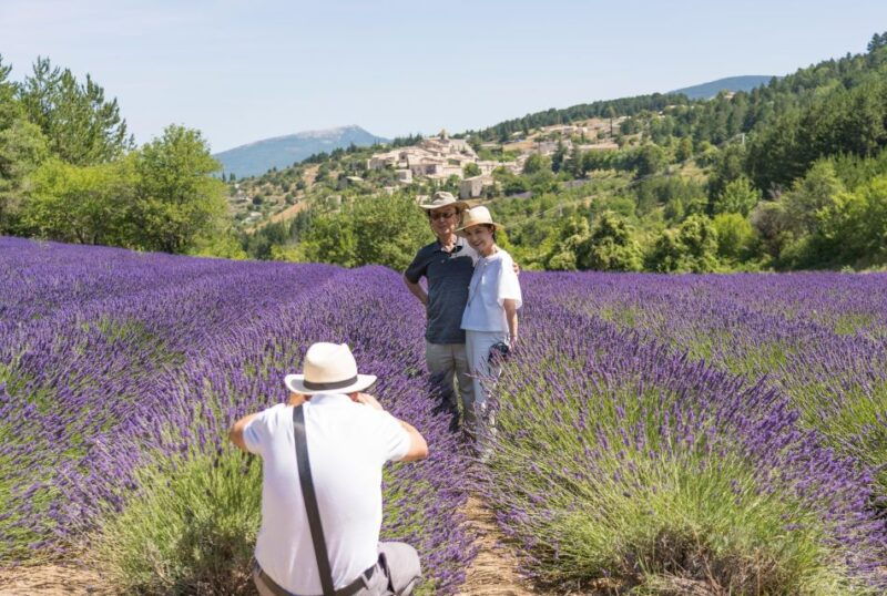 from-marseille-valensole-lavender-full-day-tour
